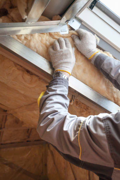 Professional Insulation Contractor in CA